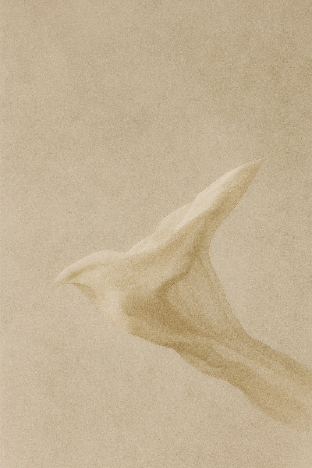 SOFTLY, WE BEGIN