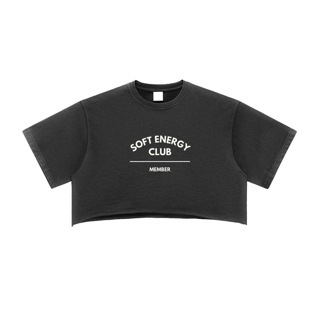 Soft Energy Club — Snow Washed Crop Top