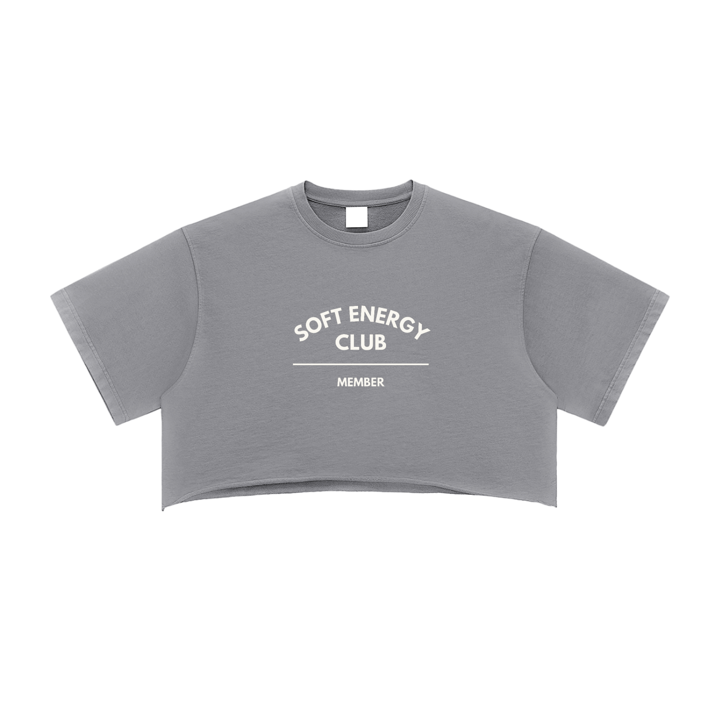 Soft Energy Club — Snow Washed Crop Top