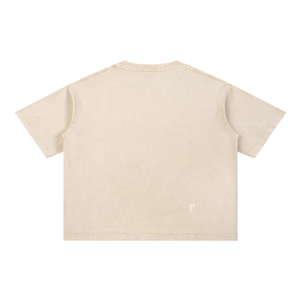 Snow-Washed Boxy Graphic Tee