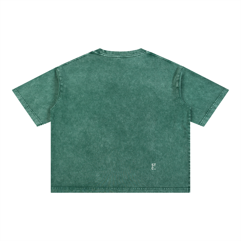 Snow-Washed Boxy Graphic Tee